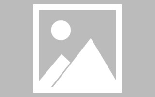 巴音郭楞类目查询素材网站（类目查询素材网站有哪些）